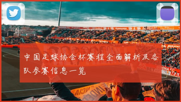 中国足球协会杯赛程全面解析及各队参赛信息一览