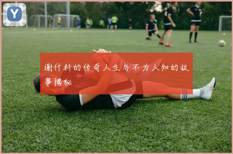 谢什科的传奇人生与不为人知的故事揭秘