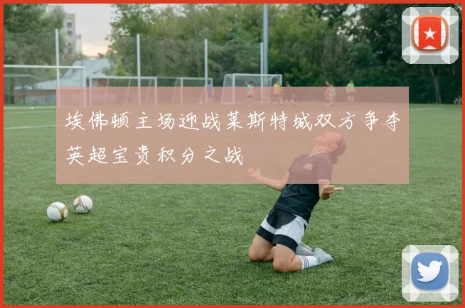 埃佛顿主场迎战莱斯特城双方争夺英超宝贵积分之战