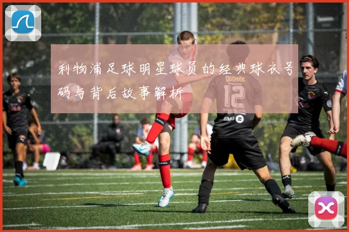 利物浦足球明星球员的经典球衣号码与背后故事解析